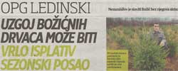 vijesti